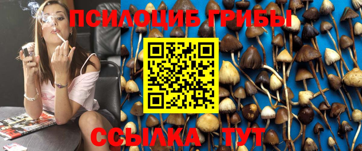 Всеволожск  Псилоцибиновые грибы Psilocybine cubensis  Вход с VPN  Псилоцибиновые грибы Magic Shrooms 